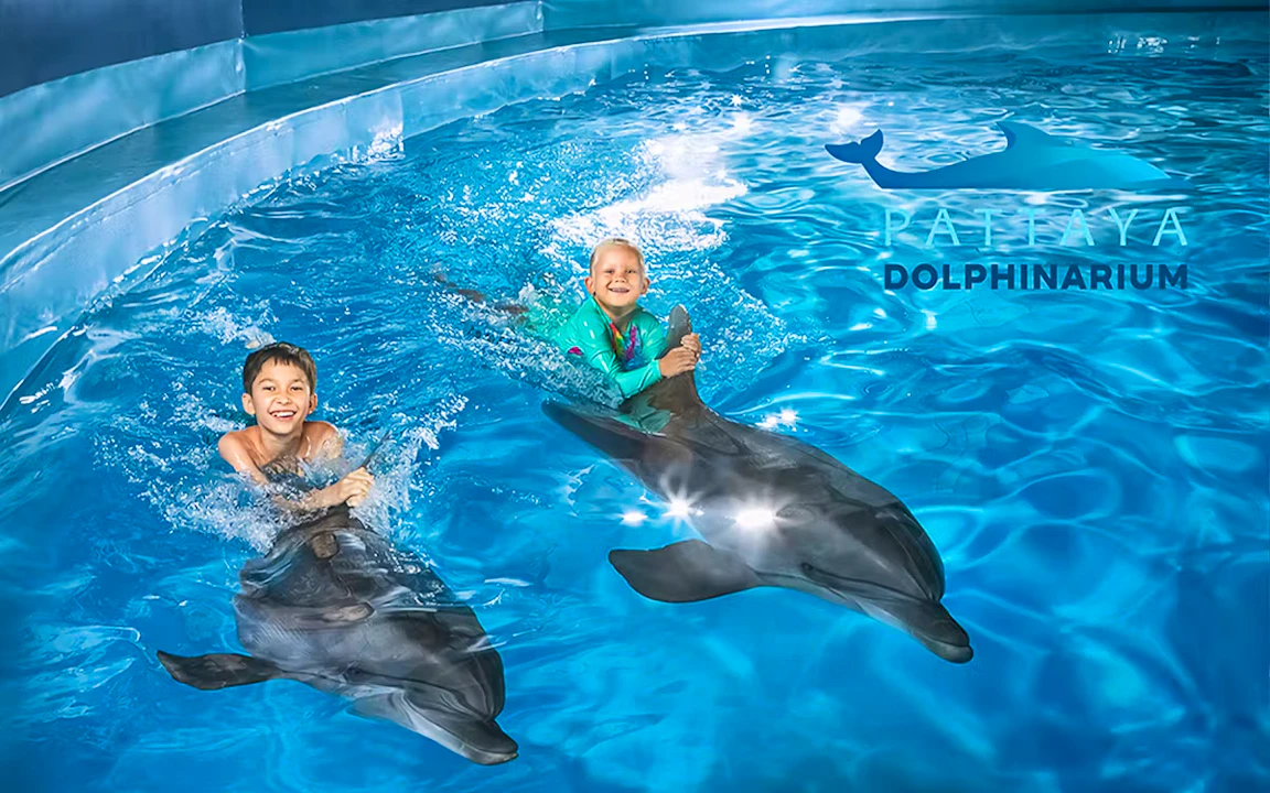 Entry Tickets To Pattaya Dolphinarium Review